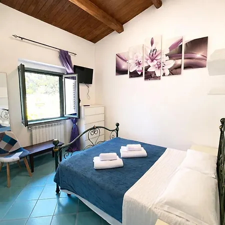 بيت للعطل Paradise House *
